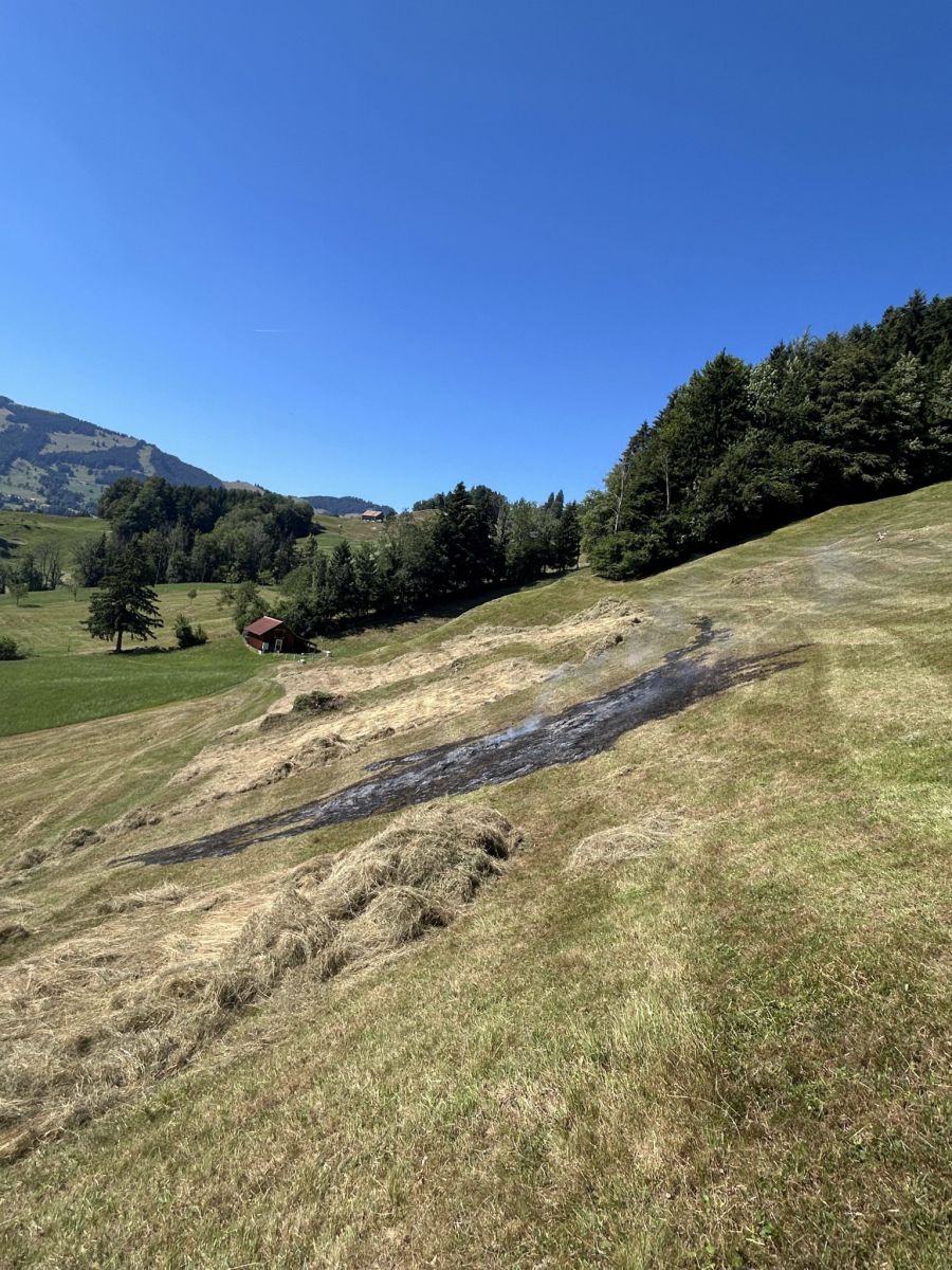 Flächenbrand Steinen