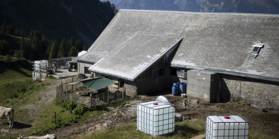 Wie auf vielen Alpen ist auf der Alp Oberchäseren in Amden das Wasser knapp. Weil Quellen versiegen und Regenwasser fehlt, muss das Wasser per Helikopter geliefert werden.