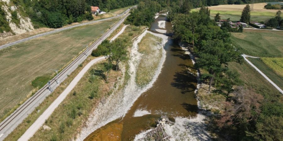 Die Sense ist in ihrem Unterlauf zwischen Laupen und Neuenegg revitalisiert worden.