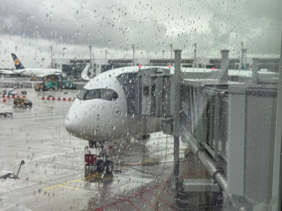 Das Wetter in der Heimat.