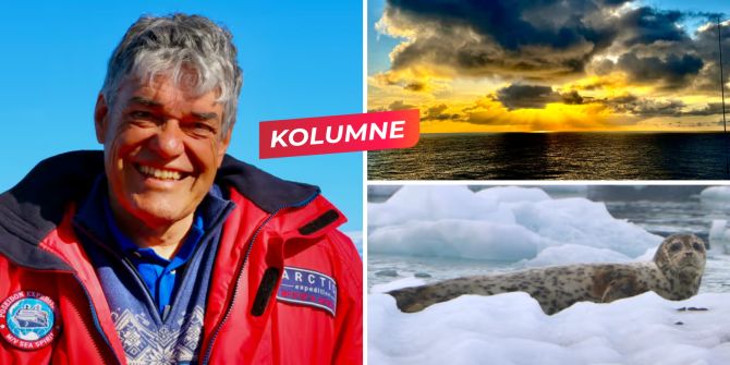 blumer kolumne