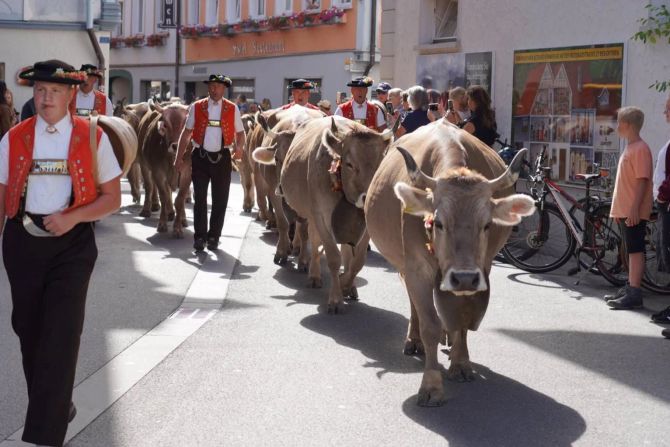 Der Alpabzug führte teilweise durch die engen Gassen von Appenzell. Bilder: Sabine