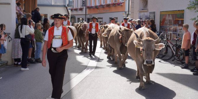 Der Alpabzug führte teilweise durch die engen Gassen von Appenzell. Bilder: Sabine