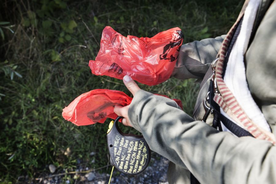 Von der Hundekot-Aufnahmepflicht profitieren laut dem Plakat in Erlenbach ZH alle.