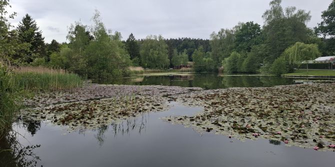Schützenweiher Winterthur