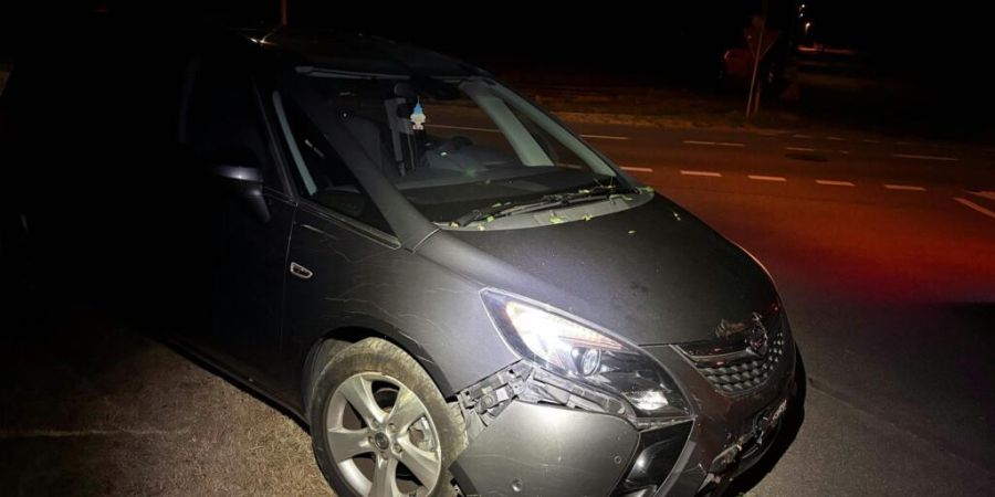Die beiden Insassen dieses Autos sind am frühen Mittwochmorgen von der Strasse in Villmergen AG abgekommen und in den Uferbereich eines Bachs gefahren.
