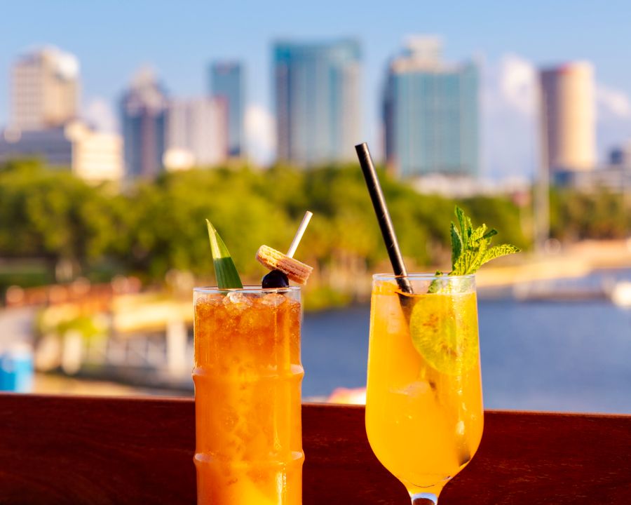 Visit Tampa Bay