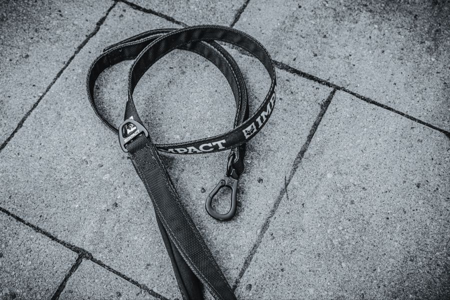 In den ersten drei Tagen nach dem 1. August registriert die Schweizerische Tiermeldezentrale STMZ wir jeweils 20 Prozent mehr Vermisstmeldungen.