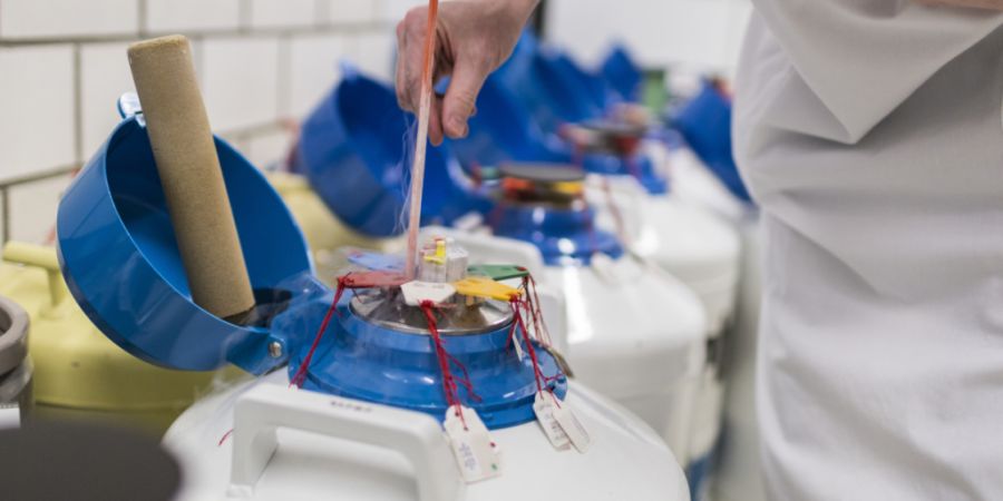 Die Kosten für das Einfrieren von Spermien wurden bisher beispielsweise bei Chemotherapien von der Krankenkasse übernommen. (Themenbild)