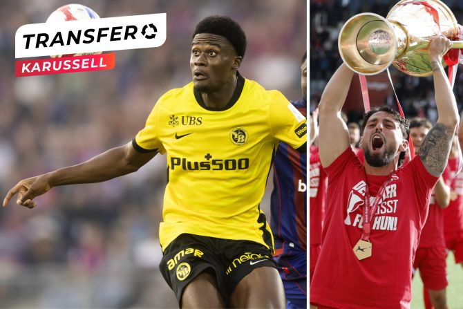 YB FC Thun Transfers