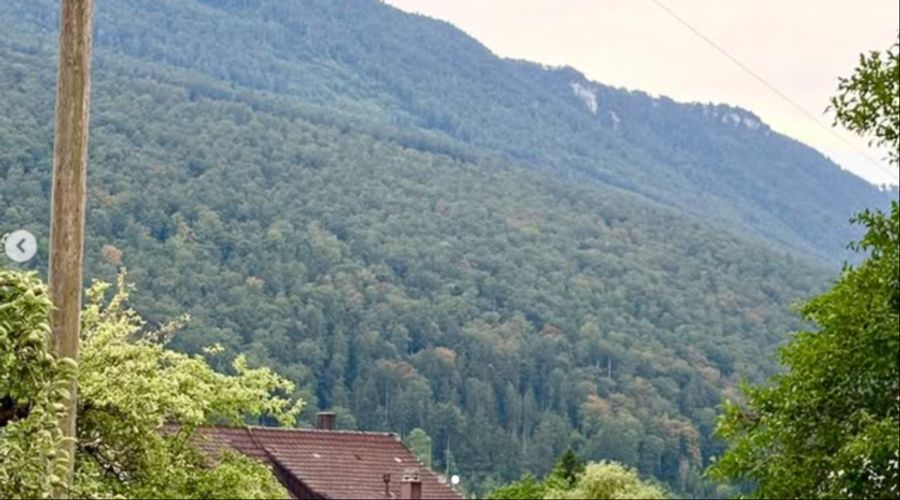 wetter