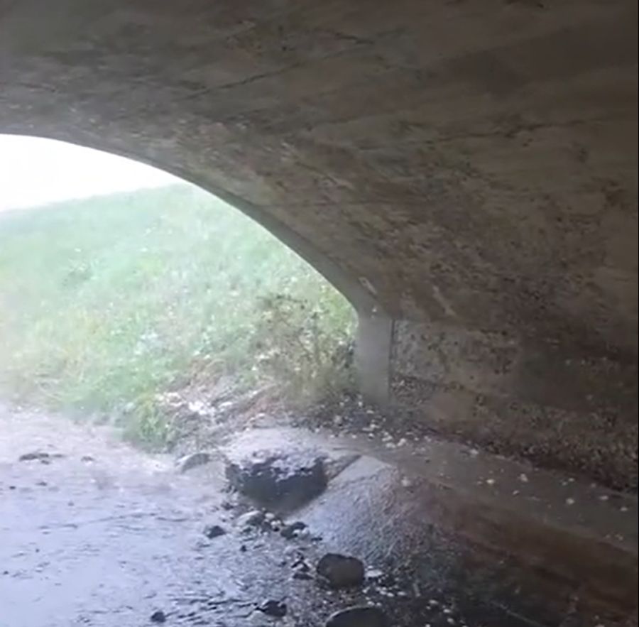 Ihr Instinkt habe sie unter die Brücke geführt, sagte Kolina Zehnder.