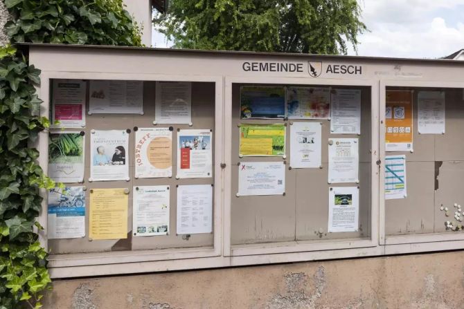 Aesch BL