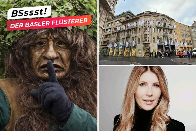 basler flüsterer