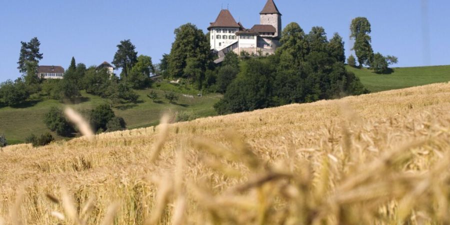 Das Schloss Trachselwald liegt malerisch auf einem Hügel im Emmental. Der Kanton Bern möchte es verkaufen. Der Er- und Unterhalt solcher Gebäude ist allerdings kein Pappenstiel. (Arc...