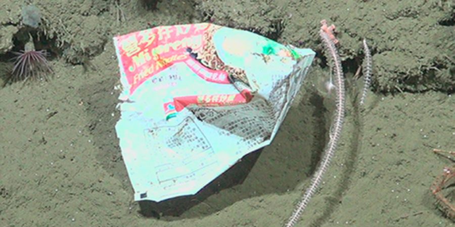 Tiefsee müll