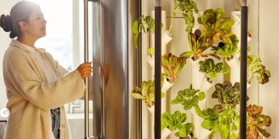 Mit vertikalen, technisierten Gärten holen Sie sich Ihr Beet direkt in die Küche.