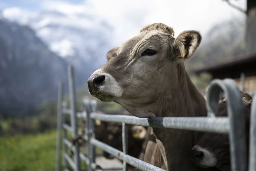 Allerdings könnte sie aus Deutschland auch in die Schweiz rüberschwappen.