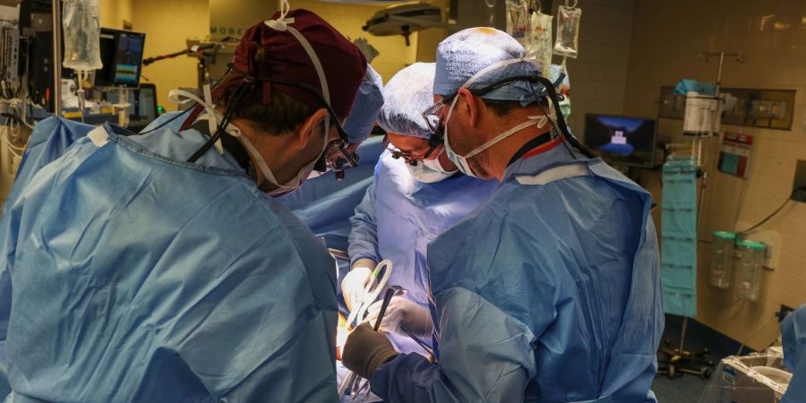 Im Massachusetts General Hospital haben Ärzte einem Patienten eine Schweineniere transplantiert.