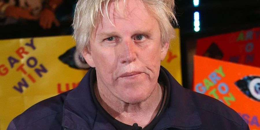 Gary Busey wird sexuelle Belästigung vorgeworfen.