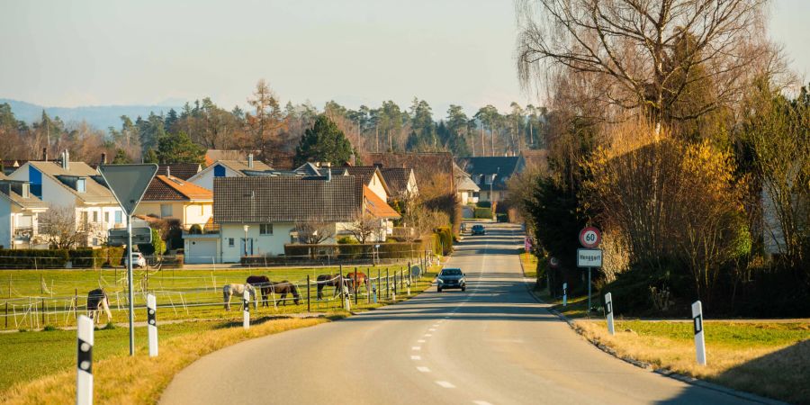 Einfahrtsstrasse nach Henggart im Zürcher Weinland.