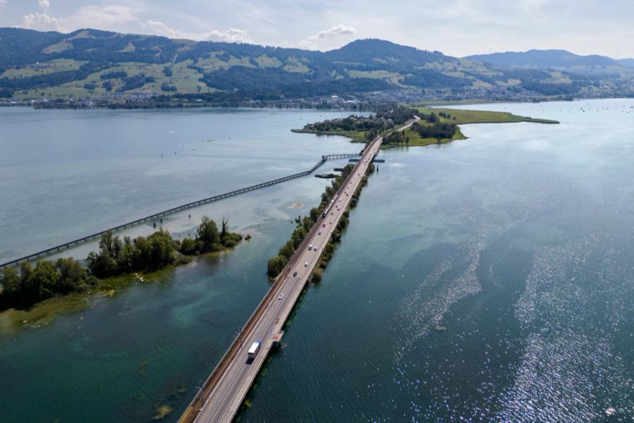 Viel Sonnenlicht ist wichtig für das Wachstum von Wasserpflanzen.