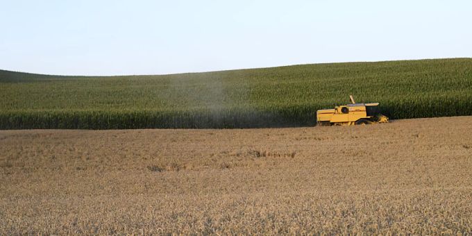 Für eine nachhaltige und gesunde Lebensmittelversorgung braucht es eine Ernährungsstrategie 2050: Weizenernte in Stettfurt TG. (Archivbild) Ernährungsstrategie