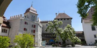 Lenzburg - Vierbeinige Landschaftspfleger wieder im Einsatz