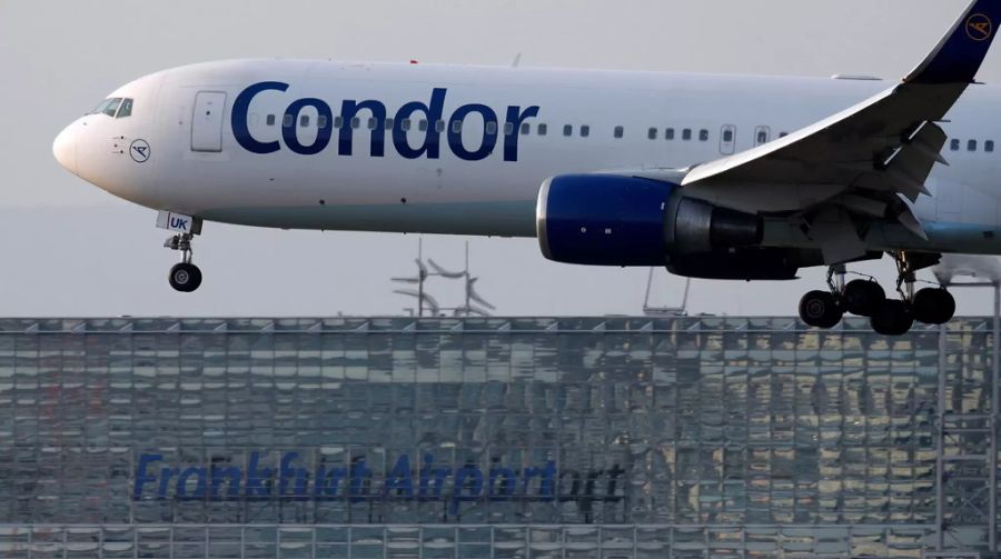 condor