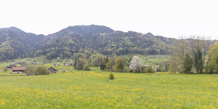 Landschaftsbild bei Reichenburg in der Innerschweiz.