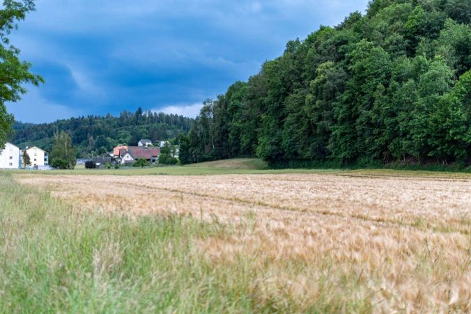 Dunkle Wolken: bald werden die Felder bewässert.