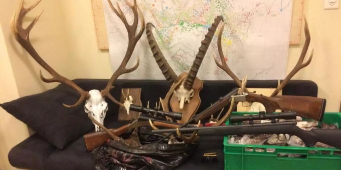 Trophäen gefunden - 26 Wildtiere im Unterwallis illegal abgeschossen