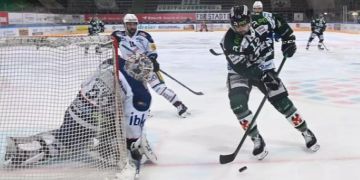 ehc olten - ehc kloten