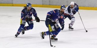 GCK Lions - Diesmal waren die GCK Lions effizient