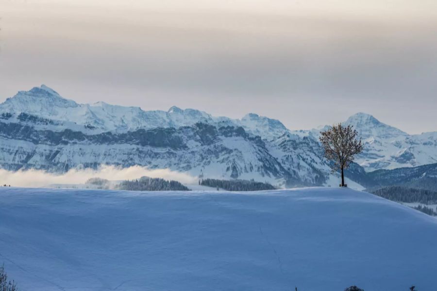 Alpen wetter temperatur