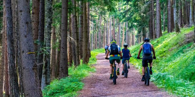 Fahrradfahrer im Wald.