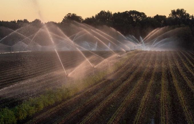 Gemäss den Autoren der Studie sorgen Klimawandel, landwirtschaftliche Bewässerung und Trinkwasserversorgung für sinkenden Grundwasserspiegel. (Symbolbild) Klimawandel Grundwasser