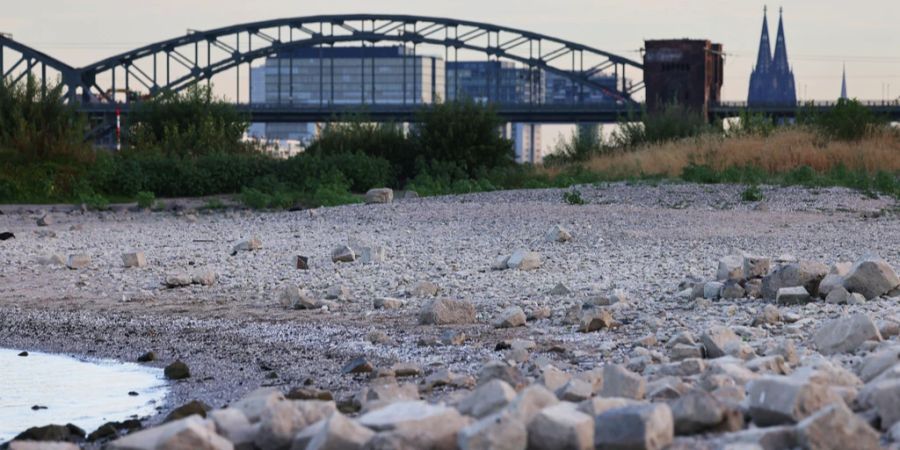 Rhein Köln Trockenheit