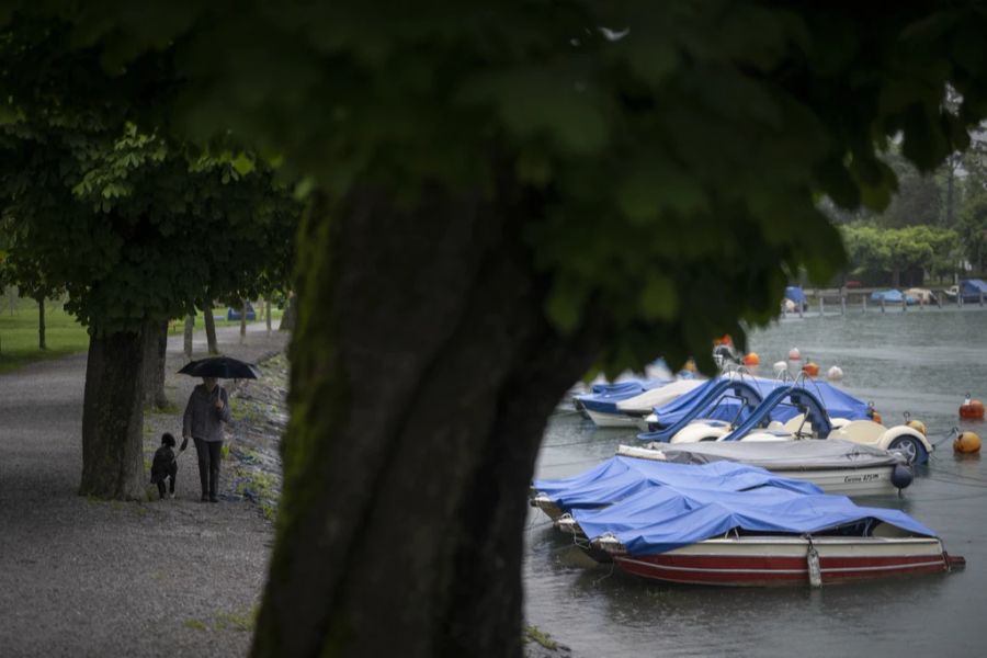 regen wetter