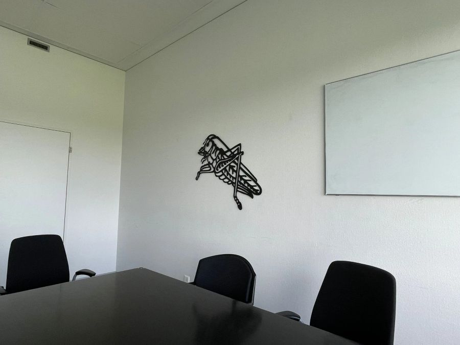 Der Heugümper in den Räumlichkeiten.