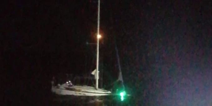Schweizer angegriffen - Ist Corona schuld an Zunahme der Orca-Attacken?