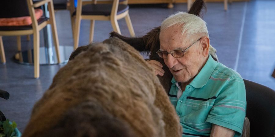 Für den Tierliebenden Ruedi Hubler ist es ein sehr emotionales Erlebnis.