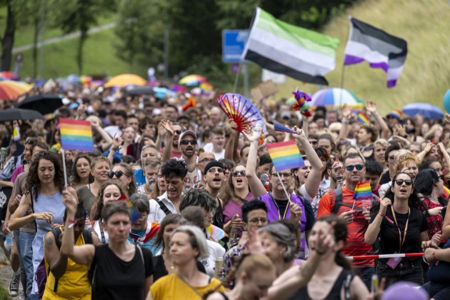 Die Pride Parade in Bern gilt als Vorbild – Tausende Menschen gingen gemeinsam friedlich auf die Strasse.