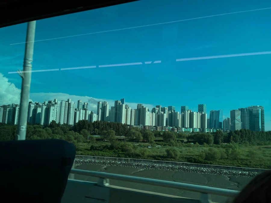 Die Pfadis wurden sechs Stunden mit Bussen nach Seoul gefahren.