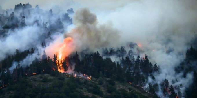 205 Leute evakuiert - Wind könnte Feuer in Bitsch neu aufflammen lassen