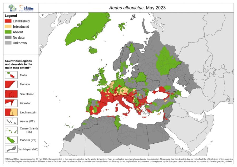 Die asiatische Tigermücke erobert Europa. Laut EU-Seuchenbehörde hat sie sich mittlerweile in 13 eurpäischen Ländern etabliert.