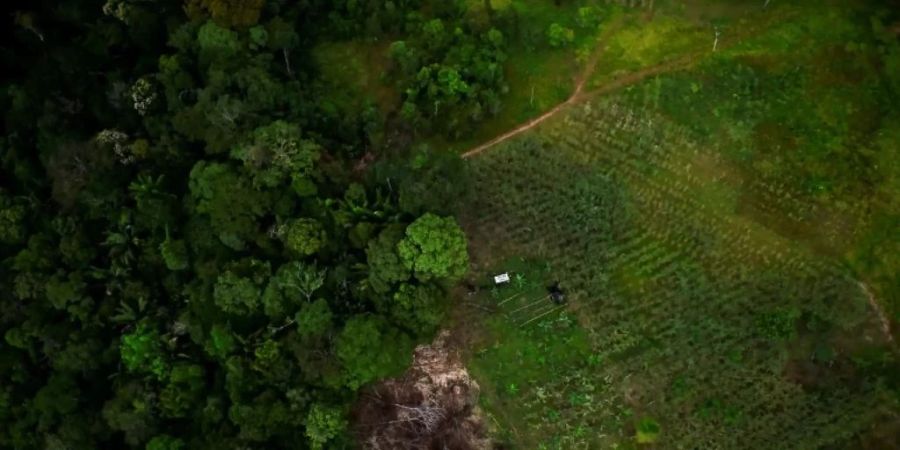 Laut WWF bleibt in dem Zusammenhang trotzdem noch viel zu tun.