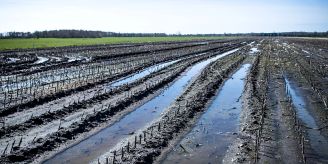 Strassburg - EU-Parlament stimmt mit knapper Mehrheit für Naturschutzgesetz Strassburg - EU-Parlament stimmt mit knapper Mehrheit für Naturschutzgesetz