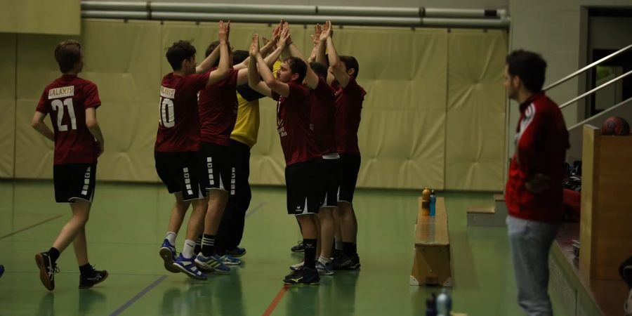 Albis Foxes Handball mit durchwachsener Saison.