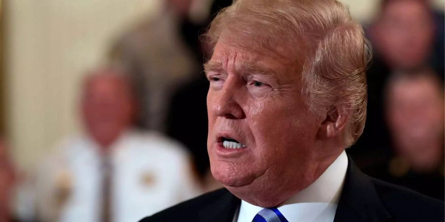 US-Präsident Donald Trump beantwortet Fragen eines Reporters im Weissen Haus in Washington.